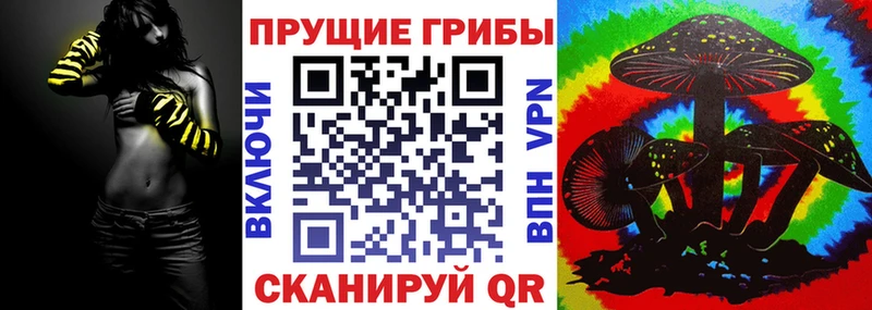Галлюциногенные грибы ЛСД  где купить наркоту  дарк нет официальный сайт  Рудня 